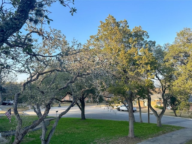 view of property's community featuring a yard