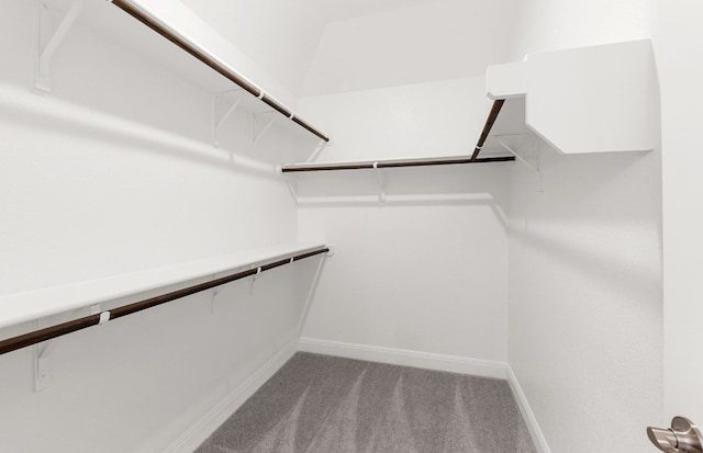 6420 Apache Plum Ln, Spicewood, TX 78669 - spacious closet featuring carpet floors