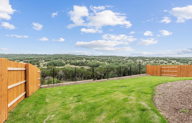 6420 Apache Plum Ln, Spicewood, TX 78669 - view of yard