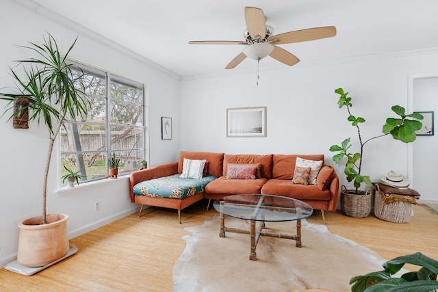 living room featuring crown molding, ceiling fan, and light hardwood / wood-style floors