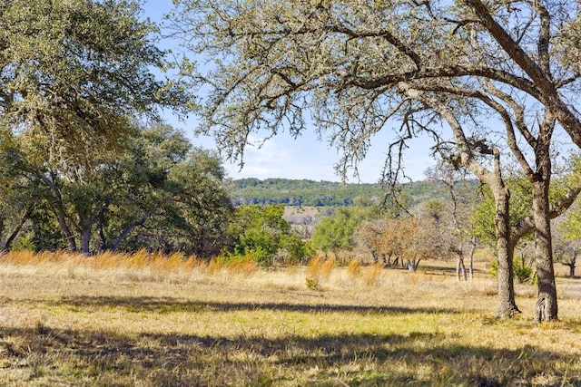 TBD Thriving Oak Dr, Fredericksburg TX, 78624 land for sale