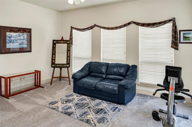 living room featuring carpet