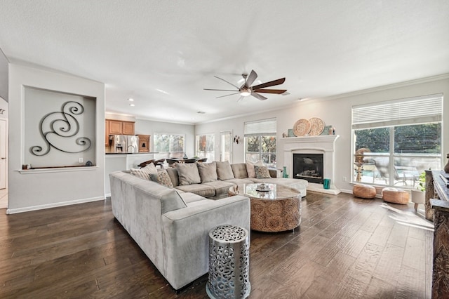 living room featuring ornamental molding, ceiling fan, and dark hardwood / wood-style flooring