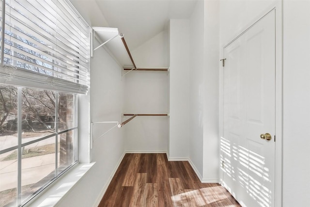 spacious closet with vaulted ceiling and dark hardwood / wood-style flooring