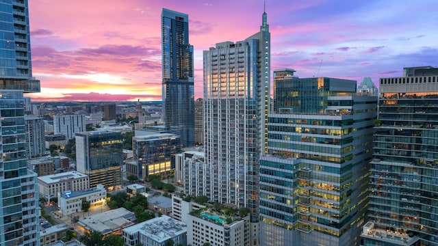 360 Nueces St Unit 914, Austin, TX 78701 - city view