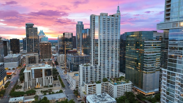 360 Nueces St Unit 914, Austin, TX 78701 - view of city skyline