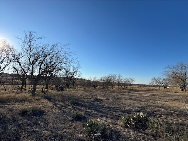 view of landscape with a rural view