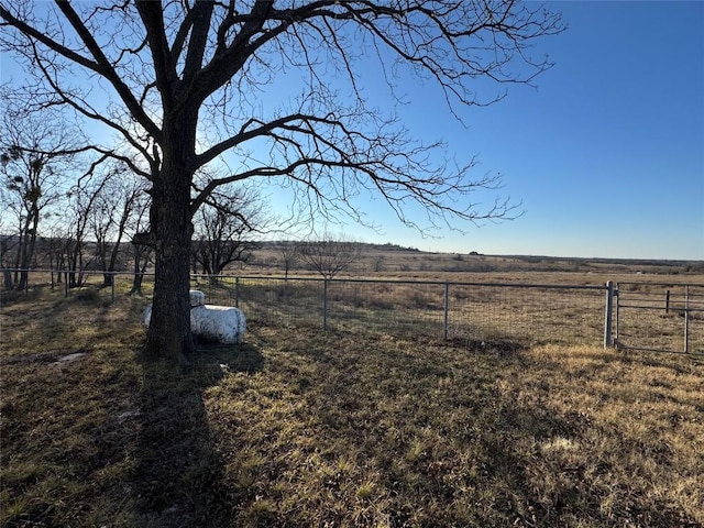 view of yard with a rural view