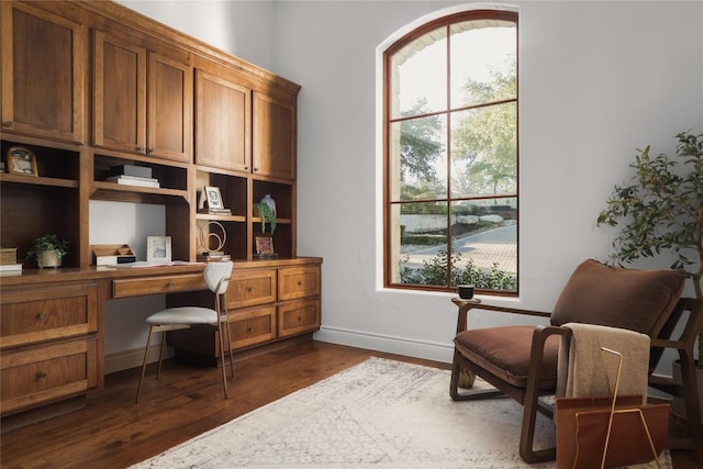 office space featuring dark hardwood / wood-style floors and built in desk