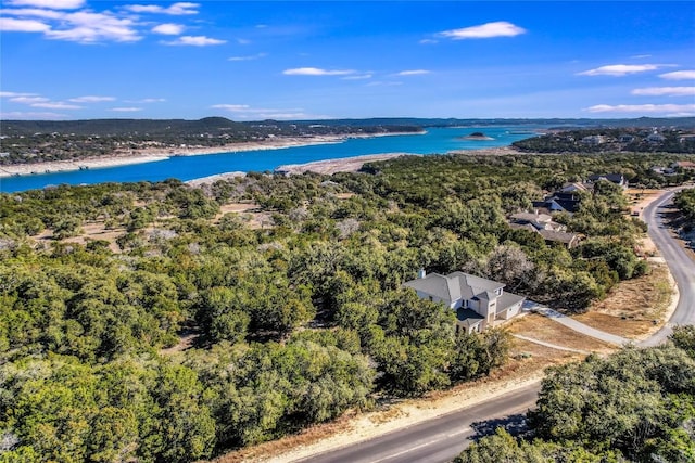 7709 Calcutta Run Dr, Jonestown, TX 78645