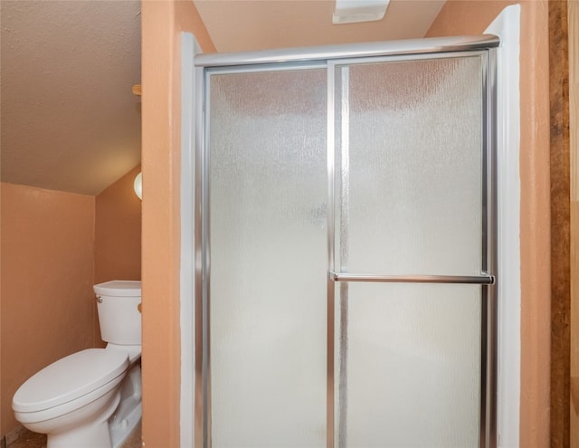 bathroom with toilet, lofted ceiling, and a shower with shower door