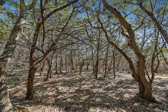 Listing photo 3 for 290 Hill Country Trl, Wimberley TX 78676