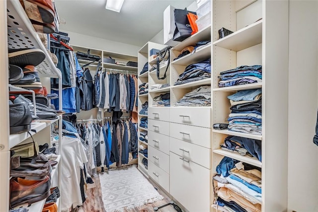 view of spacious closet