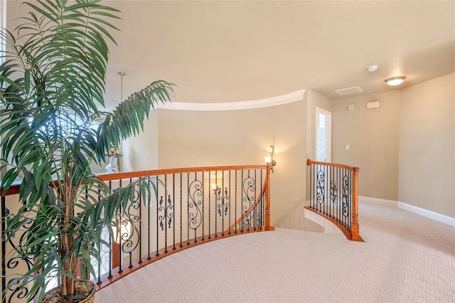 hallway featuring crown molding and carpet flooring