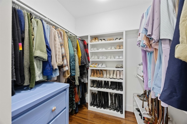 spacious closet featuring dark wood-type flooring