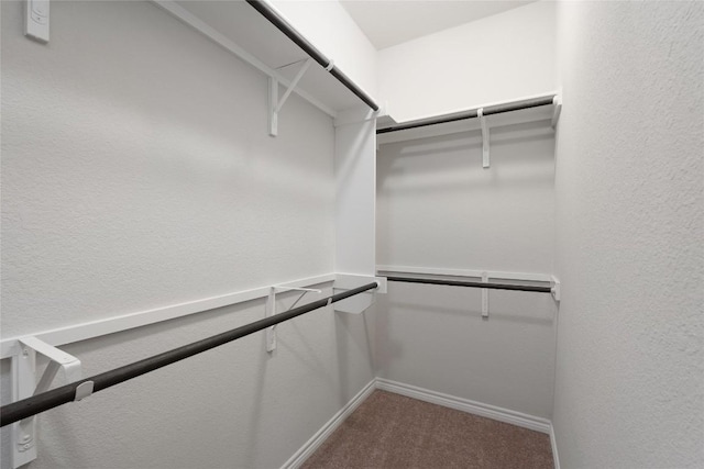 spacious closet featuring carpet