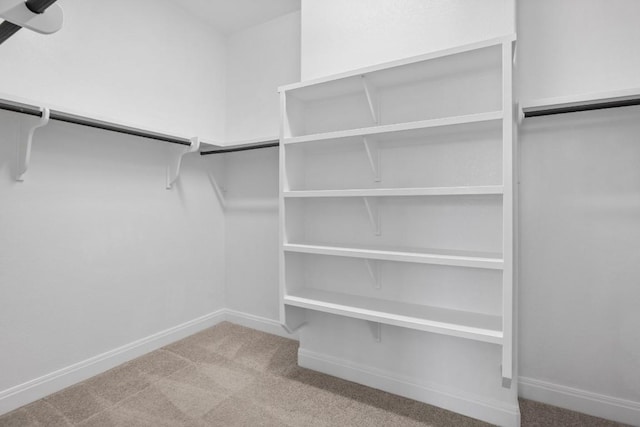 spacious closet featuring carpet flooring