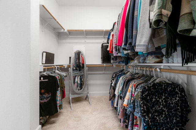 spacious closet with carpet