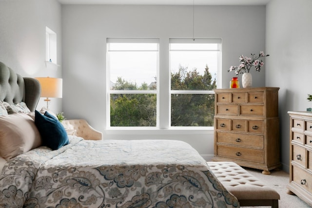 bedroom featuring multiple windows and light colored carpet