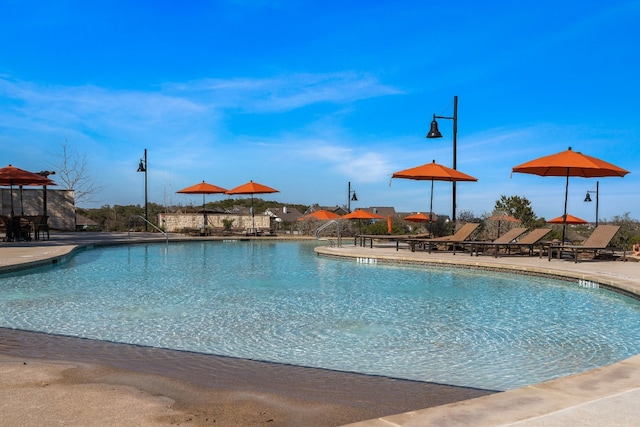 view of swimming pool featuring a patio area