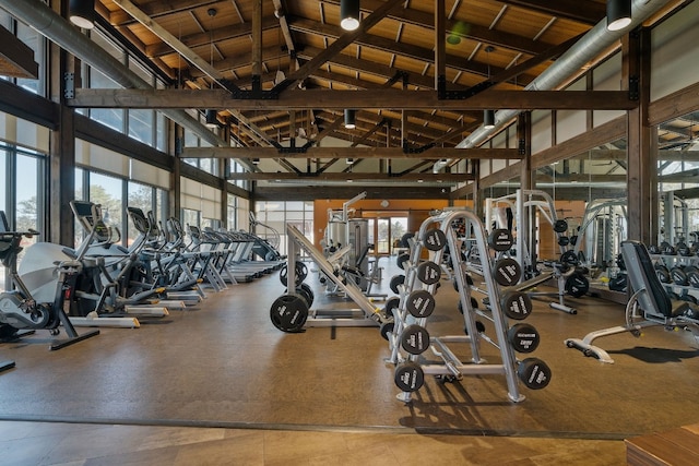 exercise room featuring high vaulted ceiling