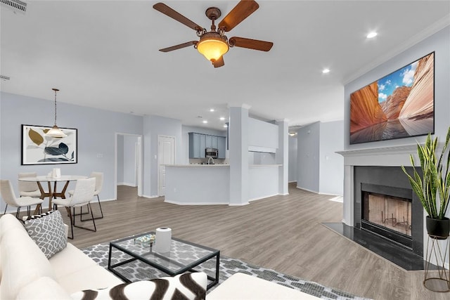 living room featuring ceiling fan and dark hardwood / wood-style flooring