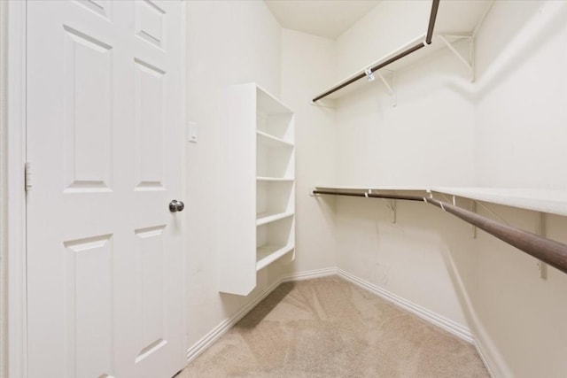 spacious closet with light carpet