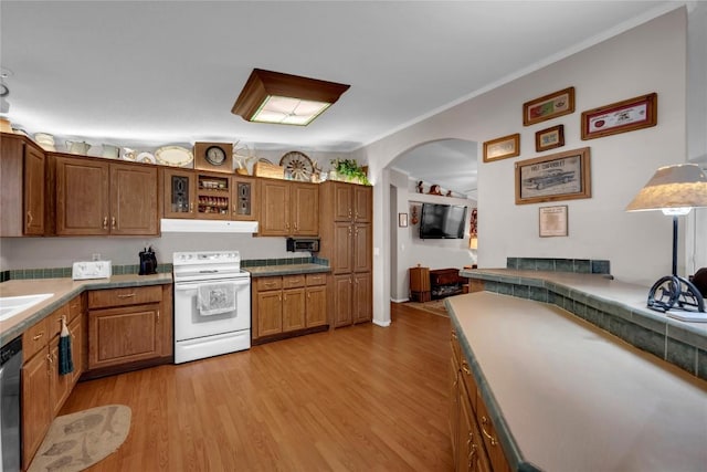 kitchen featuring stainless steel dishwasher, light hardwood / wood-style floors, and white range with electric stovetop