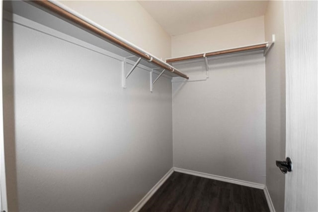 walk in closet featuring dark wood-type flooring