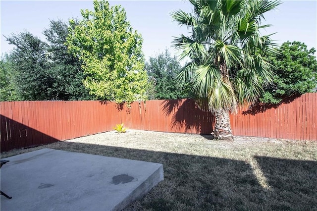 view of yard with a patio area