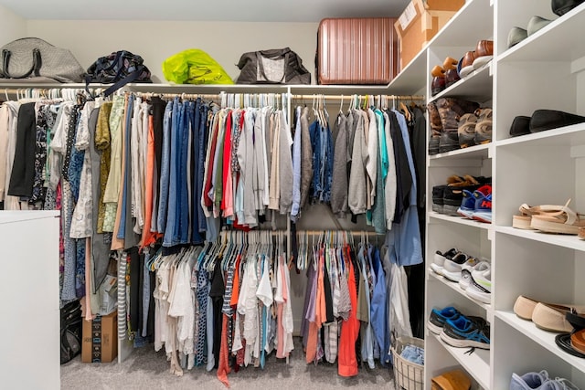 walk in closet featuring carpet