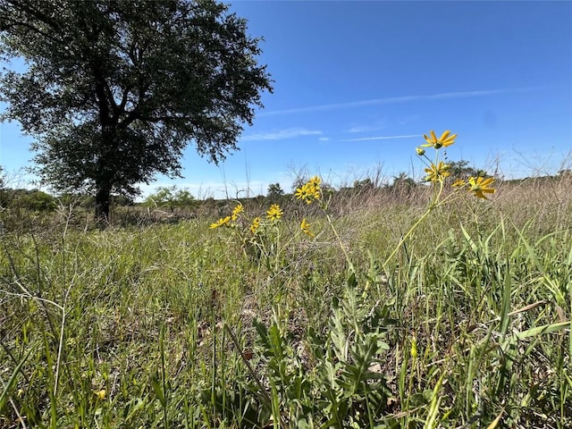 LOT53 Marvin Ln, Bertram, TX 78605