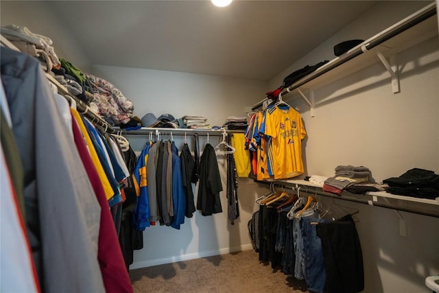 walk in closet with carpet