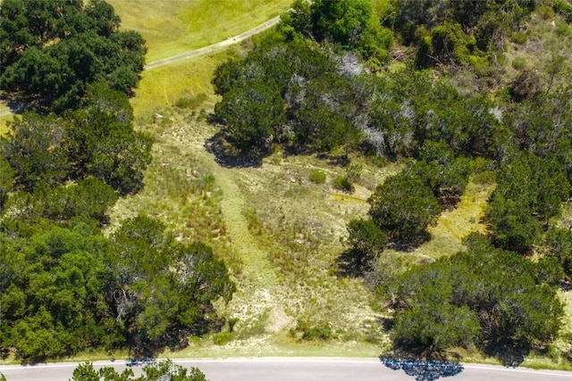2805 Hancock Ave, Lago Vista, TX 78645 - photo 3