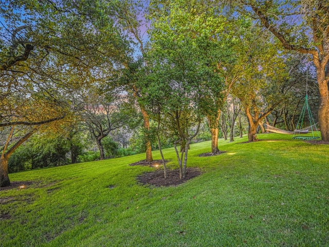 417 Beardsley Ln, Austin, TX 78746 - view of green lawn