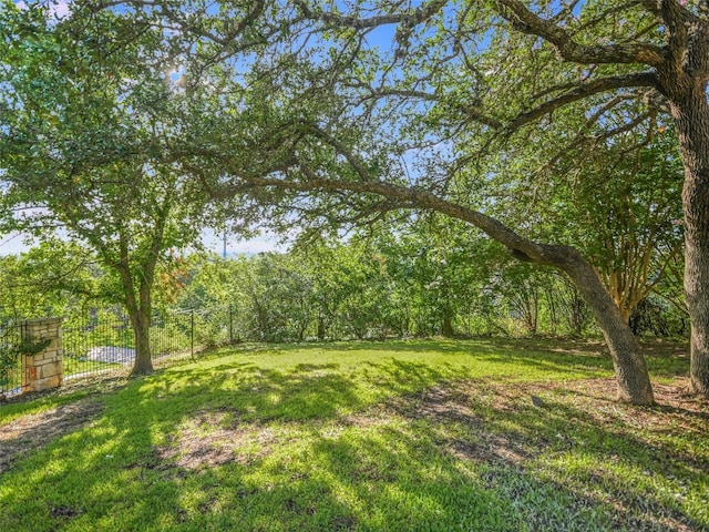 417 Beardsley Ln, Austin, TX 78746 - view of yard