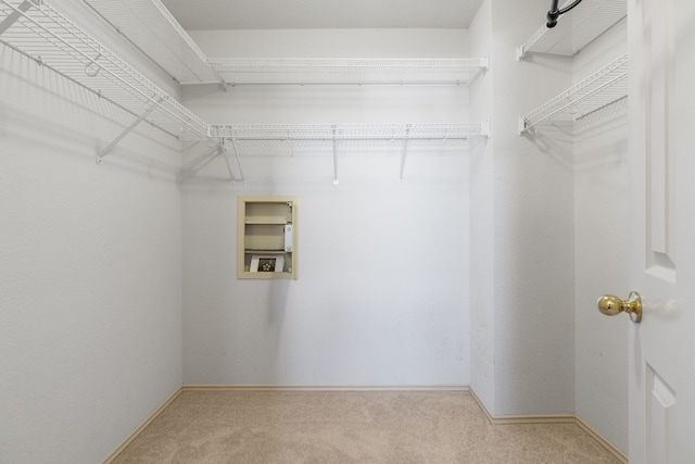 walk in closet featuring carpet floors