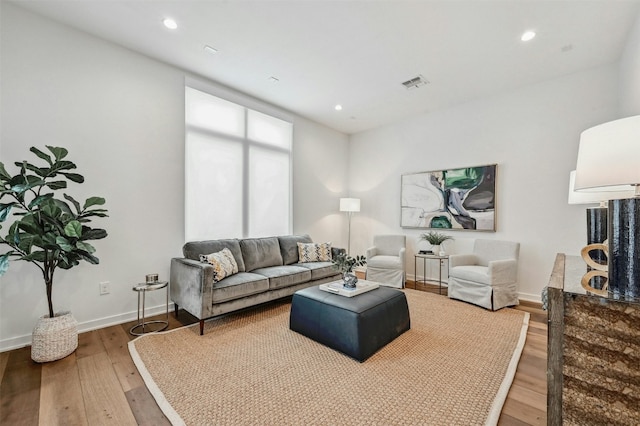 living room featuring hardwood / wood-style floors