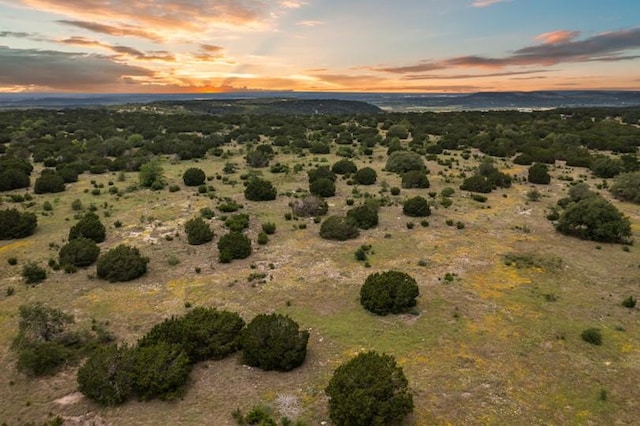 Listing photo 3 for TBD Greystone Ranch Rd, Bertram TX 78605