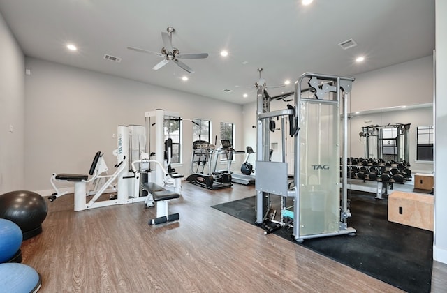 gym featuring ceiling fan and hardwood / wood-style floors