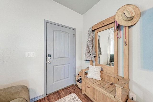 mudroom with dark hardwood / wood-style floors