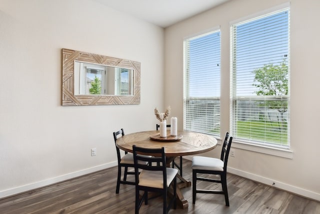 dining room featuring dark hardwood / wood-style flooring