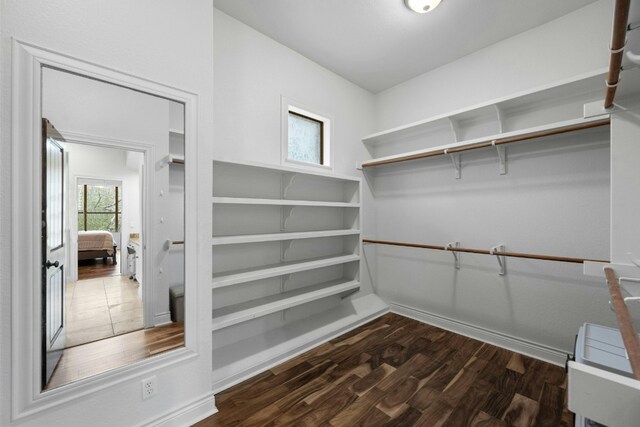 spacious closet with dark hardwood / wood-style floors