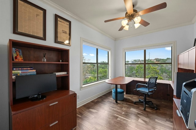 office with crown molding, ceiling fan, and hardwood / wood-style floors