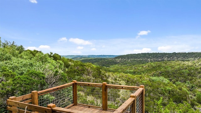 mountain view with a forest view