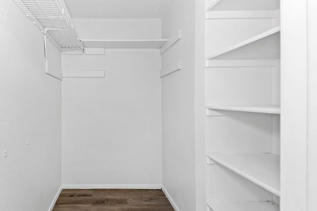 spacious closet featuring dark wood-type flooring