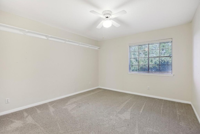 empty room featuring ceiling fan and carpet