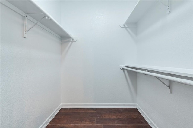 spacious closet featuring dark hardwood / wood-style floors