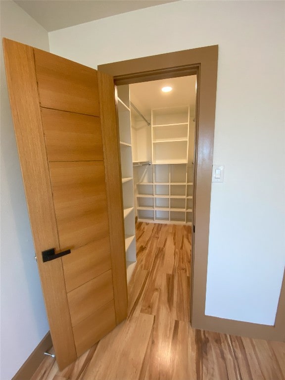 spacious closet with hardwood / wood-style floors