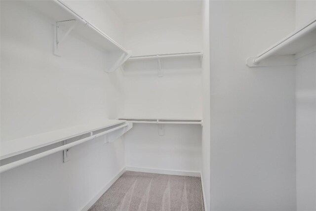 3600 S Lamar Blvd Unit 115, Austin, TX 78704 - spacious closet featuring carpet flooring